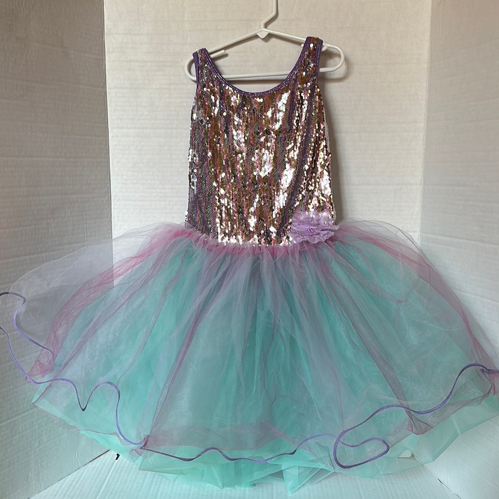 Girls Dance Costume Tulle Sequin Purple Pink Blue
Large Girls